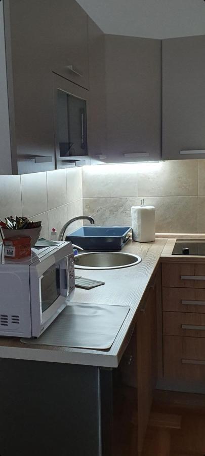 Apartman Tim Lux 1 Vrnjačka Banja エクステリア 写真