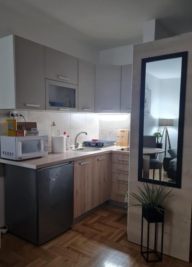 Apartman Tim Lux 1 Vrnjačka Banja エクステリア 写真