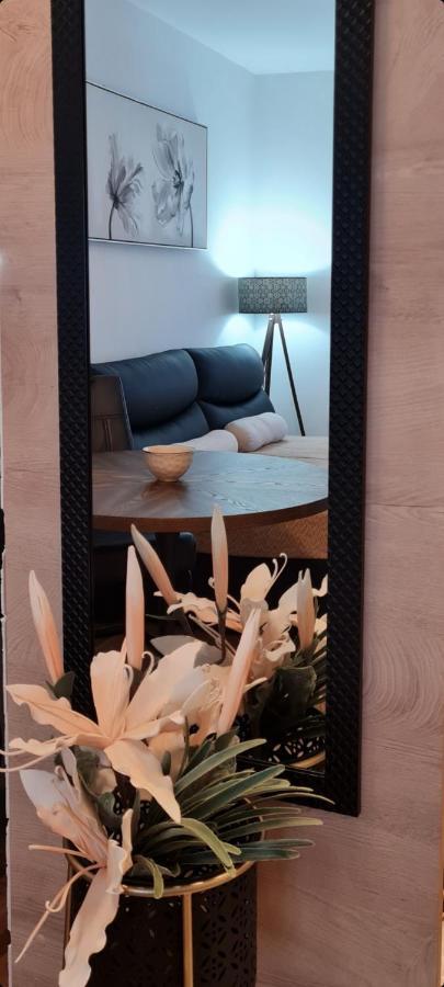 Apartman Tim Lux 1 Vrnjačka Banja エクステリア 写真
